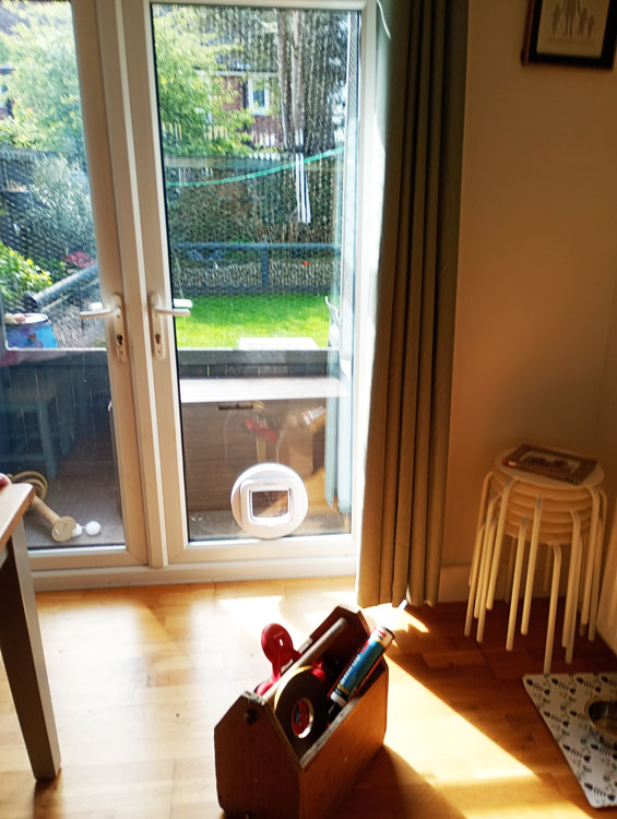 Cat flap kings and doggies 2