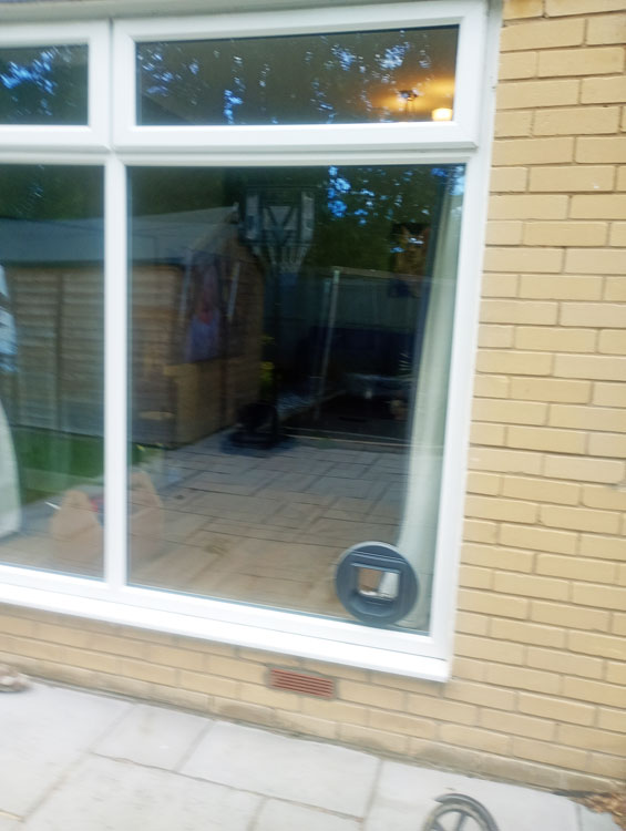 Cat flap kings & doggies 2