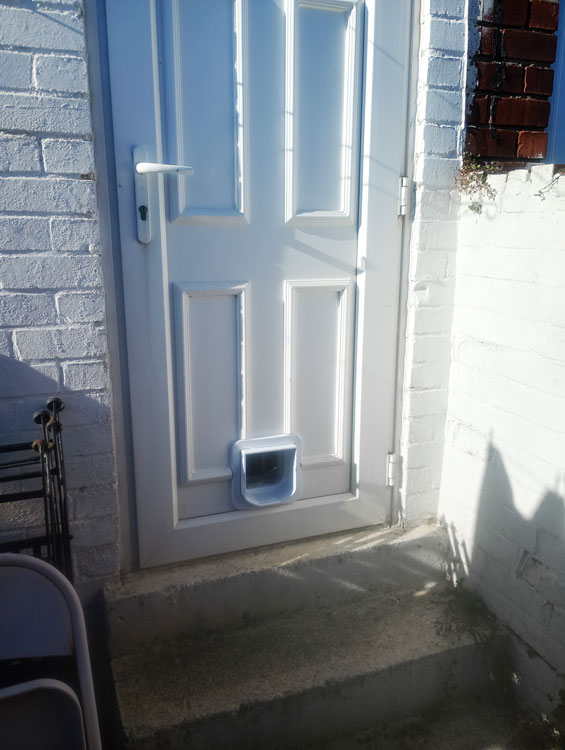 SureFlap microchip cat flap installation