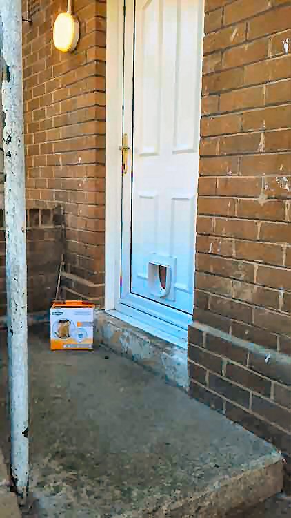 cat flap fitters Birtley