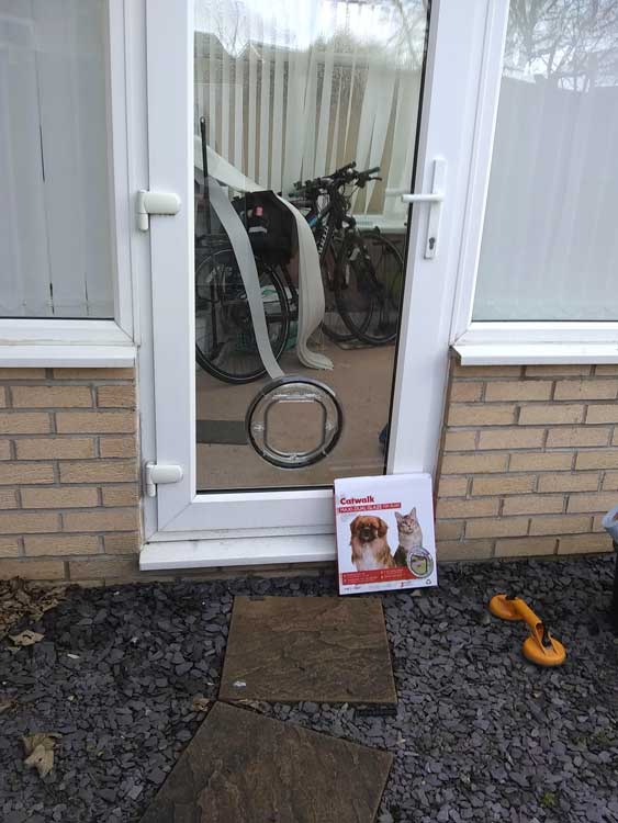 Cat flap fitters Darlington and Durham