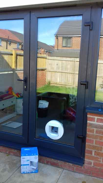 cat flap fitters Great Park Gosforth