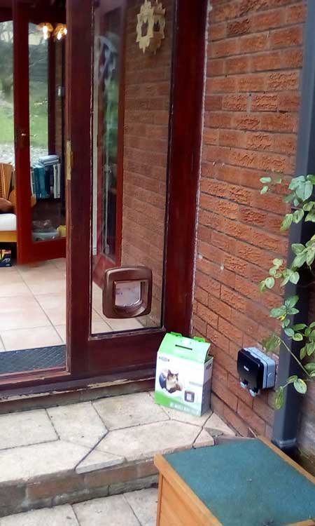 Cat flap fitters Hartlepool