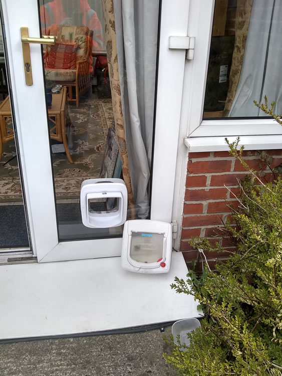 Cat flap fitters Morpeth and Northumberland