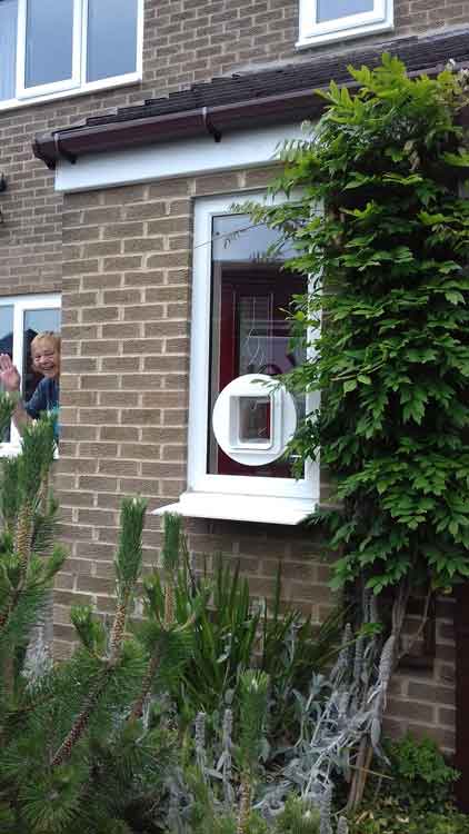 cat flap fitters North East