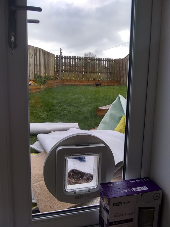 Cat flap fitters Palmersville and Forest Hall