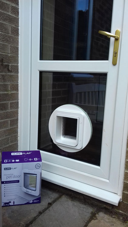 cat flap fitters Stanley