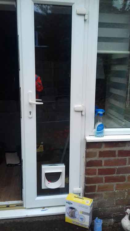 cat flap fitters Whickham