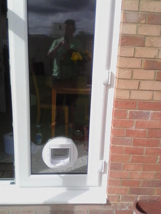 Cat flap installers Leadgate and Consett