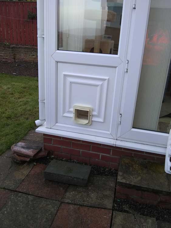 Cat flap installers Stockton and Teeside