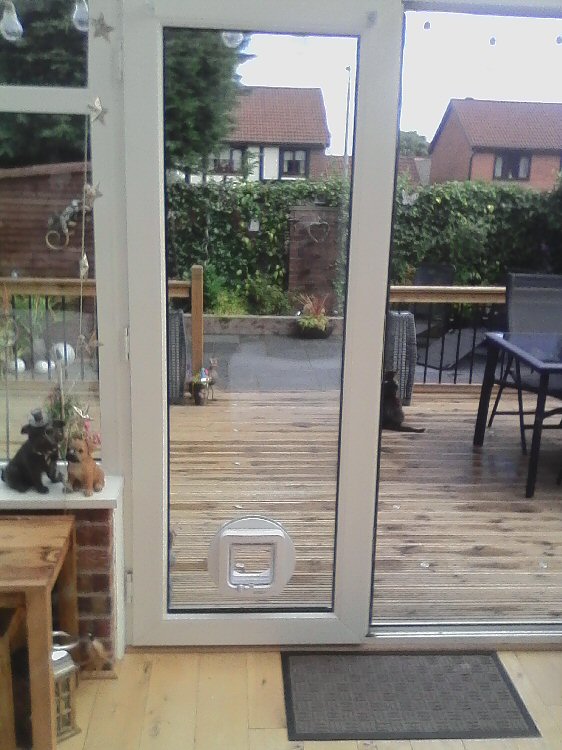Cat flap installers Whickham and Gateshead, here installed in Whickham