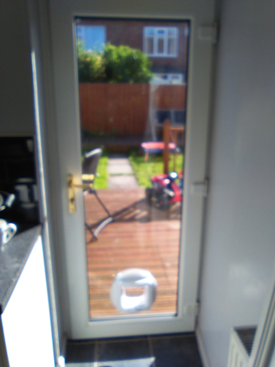 cat flap fitters North East
